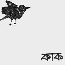 Load and play video in Gallery viewer, “Ka Ka!” Crow | Bangla Chari-tee | Shada Kalo | Premium 100% Organic Cotton Unisex
